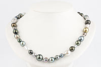 Tahitian Pearl Harvest Strand