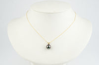 Tropical Midnight 9.5mm Tahitian Pearl I'a Necklace on 14K Yellow Gold