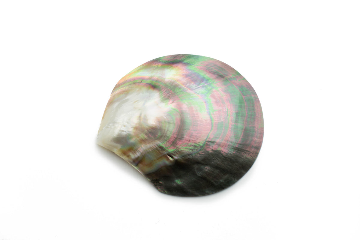 Mother of Pearl