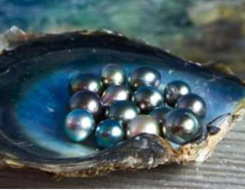 Pearls à La Carte
