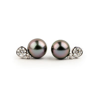 Tahitian Pearl & Diamond Nova Earrings on 14K White Gold