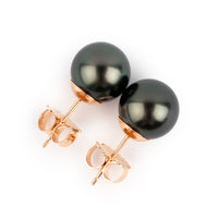 Eclipse Black 9-9.6mm Tahitian Pearl Stud Earrings