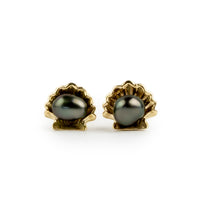 Aubergine Green Keshi Pearl 14K Gold Seashell Stud Earrings