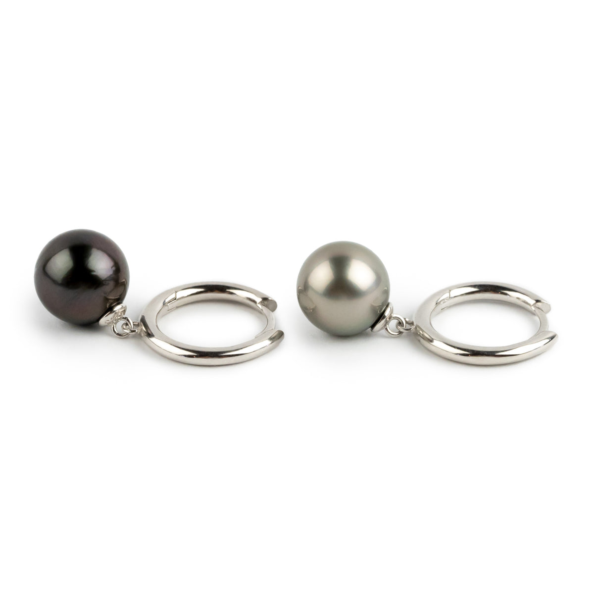 Bordeaux & Champagne 10.2mm Tahitian Pearl Hoop Earrings on Sterling Silver