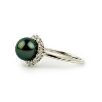 Tahitian Pearl & Diamond Soleil Ring on 14K White Gold