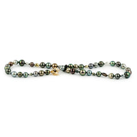 Tiny Tahitian Pearl Harvest Strand