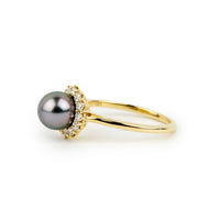 Tahitian Pearl & Diamond Petite Soleil Ring on 14K Yellow Gold