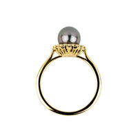 Tahitian Pearl & Diamond Petite Soleil Ring on 14K Yellow Gold