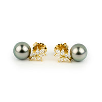 Tahitian Pearl & Diamond Anapa Earrings