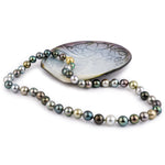 Colors of Polynesia 8.5-10.8mm Tahitian Pearl Strand