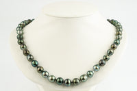 Tropical Rainforest 9-11.8mm Tahitian Pearl Strand