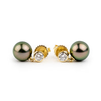 Tahitian Pearl & Diamond Nova Earrings on 14K Yellow Gold