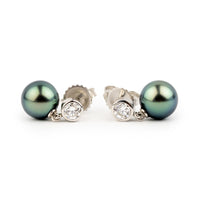 Tahitian Pearl & Diamond Nova Earrings on 14K White Gold