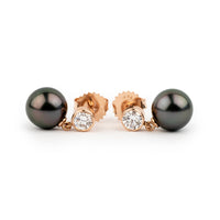 Tahitian Pearl & Diamond Nova Earrings on 14K Rose Gold