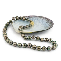 Aubergine Orchid 8.5-11.8mm Tahitian Pearl Strand