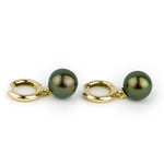 Peacock Green Tahitian Pearl Huggie Hoop Earrings