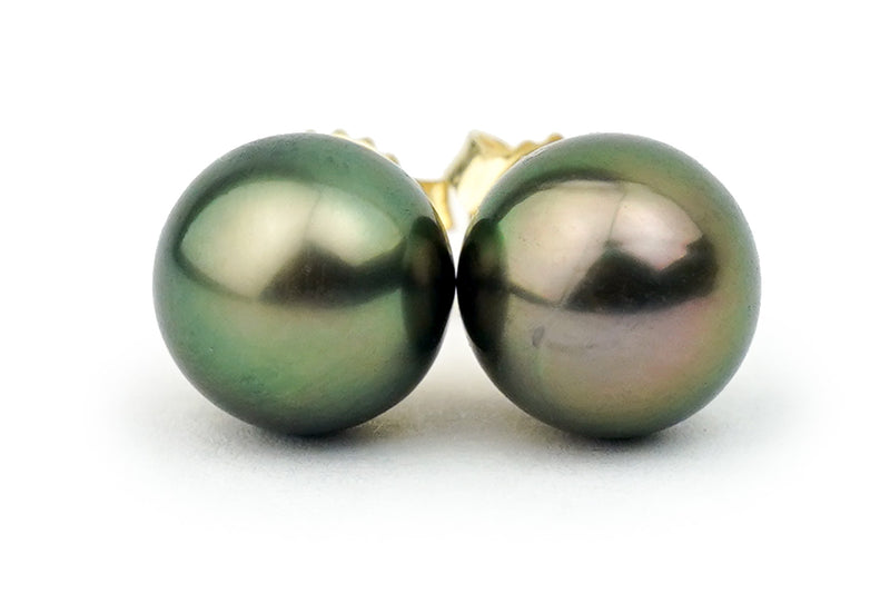 Aubergine Green Peacock Tahitian Pearl stud earrings 9.5mm to 10mm