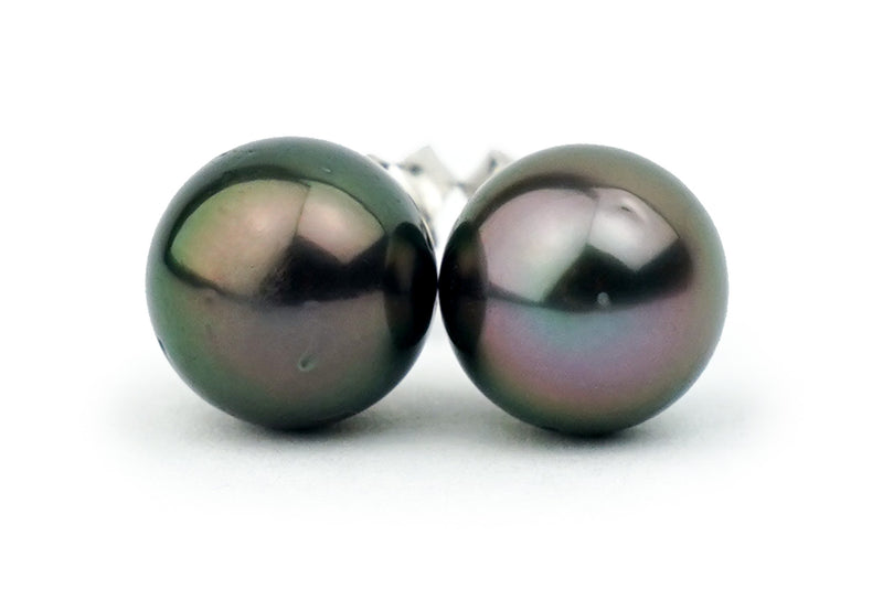 Aubergine Green Peacock Tahitian Pearl stud earrings 9.5mm to 10mm on white gold