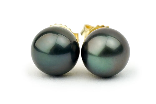 Black midnight Tahitian pearl stud earrings 8.5mm to 9mm