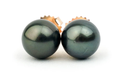 Black midnight Tahitian pearl stud earrings 8.5mm to 9mm on 14k rose gold