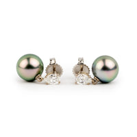 Tahitian Pearl & Diamond Sirène Earrings on 14K White Gold