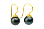 Black Beauty 18K Bali Tahitian Pearl French Hook Earrings