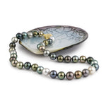 Colors of Polynesia 9-11.7mm Tahitian Pearl Strand