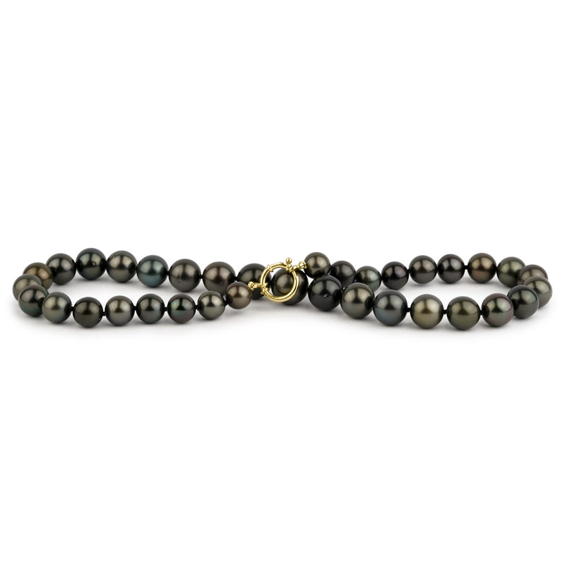 Midnight Sky 9.8-13.7mm Tahitian Pearl Strand