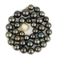 Midnight Sky 9.8-13.7mm Tahitian Pearl Strand