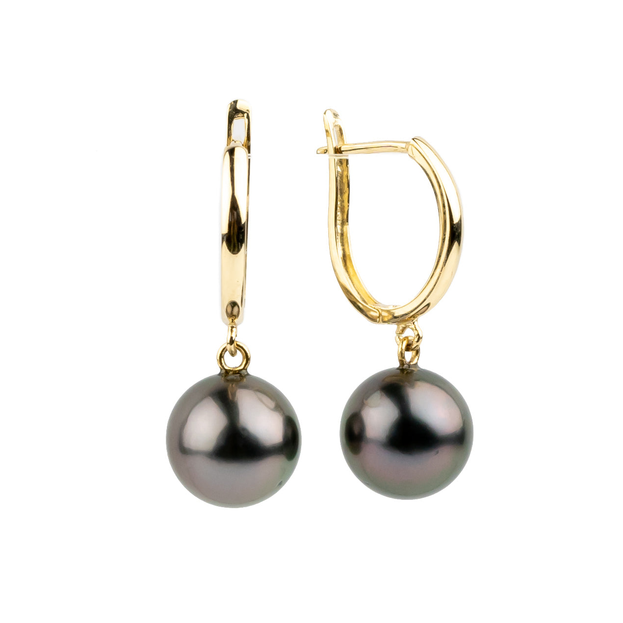 Aubergine Green 8.7mm Tahitian Pearl U-Hoop Earrings on 14K Yellow Gold