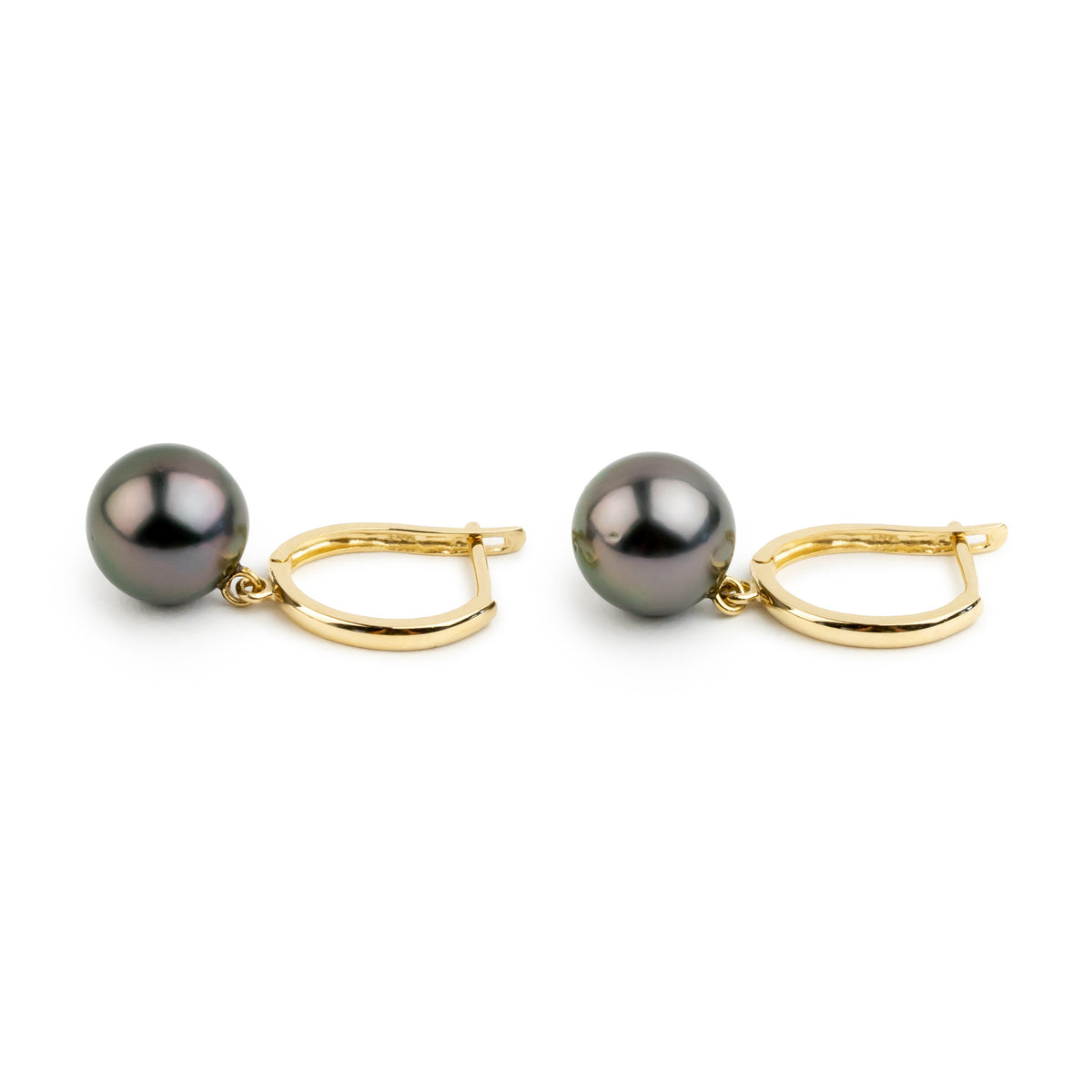 Aubergine Green 8.7mm Tahitian Pearl U-Hoop Earrings on 14K Yellow Gold