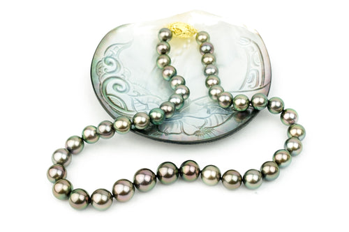 Pink Peacock Tahitian pearl 9 to 12.5mm AAAA grade necklace
