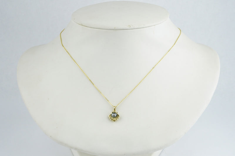 Tahitian Keshi Pearl 14K Yellow Gold Seashell Necklace