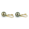 Golden Green Tahitian Pearl Lever Backs