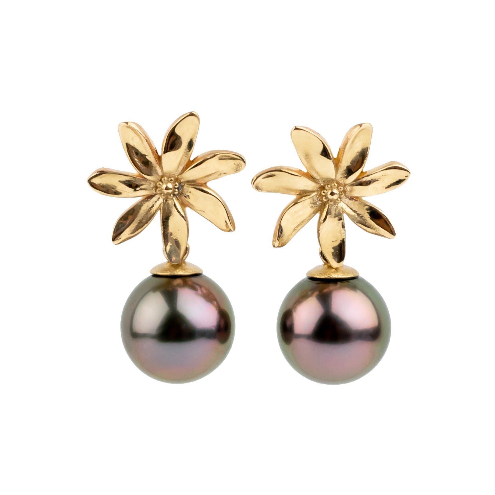 Tiaré 14K Gold Tahitian Pearl Dangle Earrings