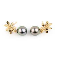 Tiaré 14K Gold Tahitian Pearl Dangle Earrings