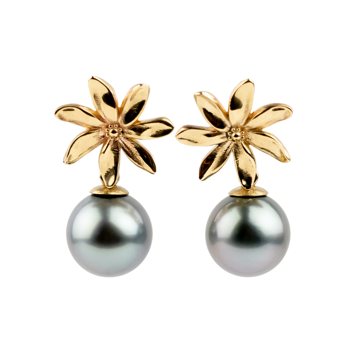Tiaré 14K Gold Tahitian Pearl Dangle Earrings