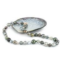 Tahitian Pearl Harvest Strand