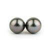 Deep Aubergine Peacock 10.8mm Statement Pearl Stud Earrings