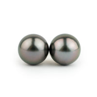 Deep Aubergine Peacock 10.8mm Statement Pearl Stud Earrings