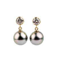 Tahitian Pearl & Diamond Nova Earrings on 14K Yellow Gold