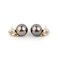 Tahitian Pearl & Diamond Nova Earrings on 14K Yellow Gold