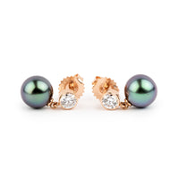 Tahitian Pearl & Diamond Nova Earrings on 14K Rose Gold