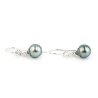 Blue-Green Peacock Tahitian Pearl Seashell Hook Earrings