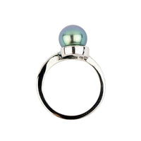 Sky Blue 8.2mm Tahitian Pearl Swirl Ring on 14k White Gold