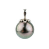 Aubergine Peacock 10mm Tahitian Pearl Pendant on 14K White Gold