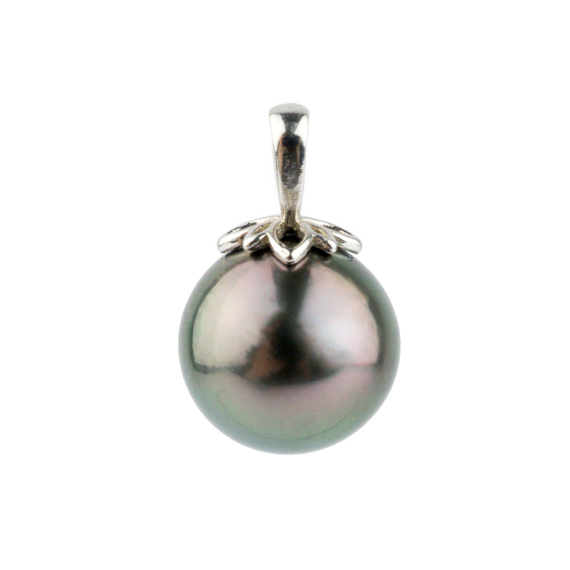 Aubergine Peacock 10mm Tahitian Pearl Pendant on 14K White Gold