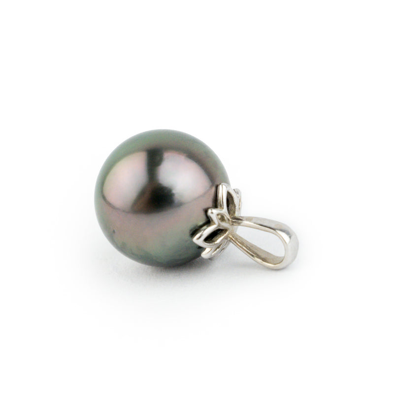 Aubergine Peacock 10mm Tahitian Pearl Pendant on 14K White Gold