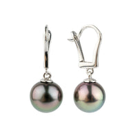 Pink Peacock Tahitian Pearl Lever Back Earrings