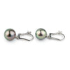 Pink Peacock Tahitian Pearl Lever Back Earrings